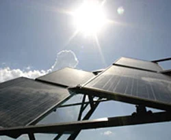Güneş enerjisi ormanları da koruyor