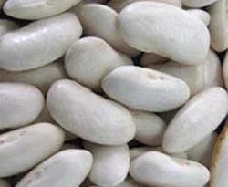 Mutfaktaki krize fasulyeli çözüm