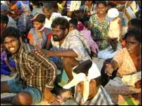 Tamil Kaplanları ateşkes ilan etti