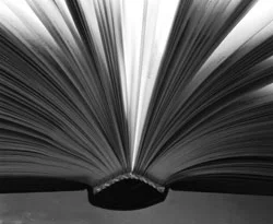 Tunceli'de ikinci kitap dükkânı açıldı