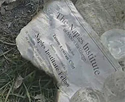 Yakılan dosyaların içeriği belli oldu