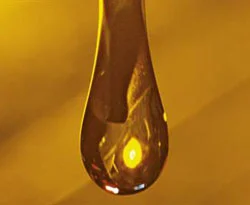 1 litre yağın büyük zararı