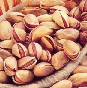 Antep fıstığı ihracatı hız kesmiyor