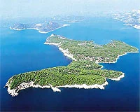 Bu denizin dibinde kaç bin bomba var?