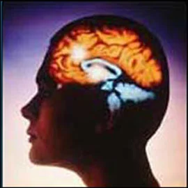 Çocuğu epilepsi olan ailelere öneriler