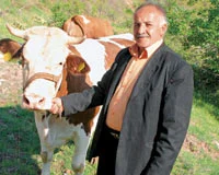 Gülsüm inek köyüne geri dönsün