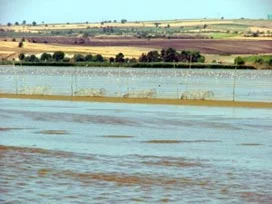Manyas Gölü civarı tarlaları sular altında