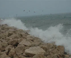 Marmara Deniz'inde ulaşıma fırtına engeli