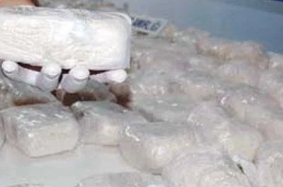 Meksika'da 8 ton uyuşturucu ele geçti