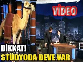 Programda deve stüdyoya işedi / VİDEO