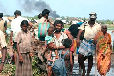 Sri Lanka'da insanlık tradejisi