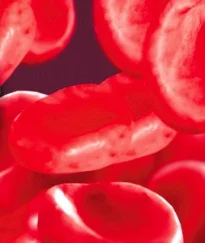 Talesemi tedavisinde kemik iliği nakli şart