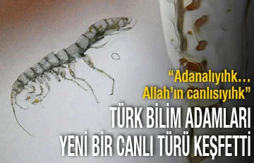 Türk bilimadamlarından yeni bir canlı türü: Niphargus Kirgizi