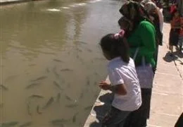 Balıklıgöl Çamurlu göl oldu