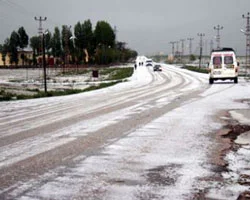 Bu fotoğraf yaz mevsiminde çekildi