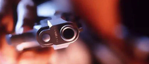 Dövülerek komaya giren gazeteci hayatını kaybetti