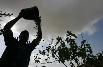 Hatay zeytinyağının ünü sınırları aştı