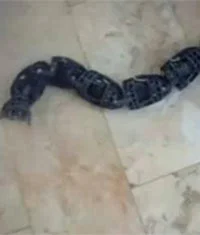 İsrail'den robot yılan silahı
