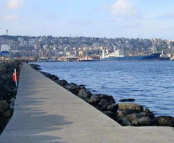 Kartal sahil yolunu su bastı