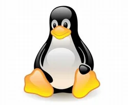 Penguen çeşit çeşit dosyalıyor