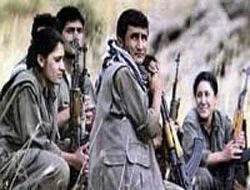 PKK'ya 2 hafta dayanabildi