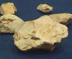 Tarihi yeniden yazdıracak aletler bulundu