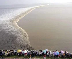 7.8'lik depremin ardından tsunami