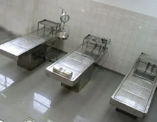 Adli Tıp'ta "usta-çırak" dönemi bitiyor