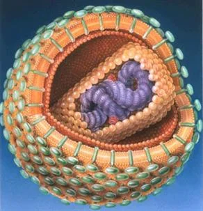 Afrika'da HIV alarmı