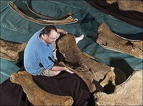 Avustralya'da dinozor yatağı