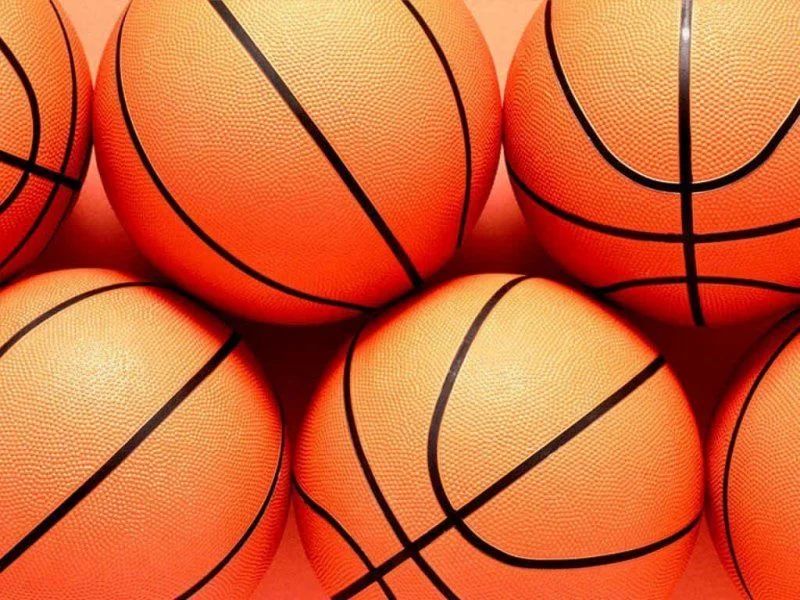 Basketbolcular Avrupa şampiyonasında!