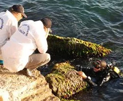 Beykoz'da yeniden mühimmat aranıyor