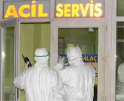 Bir domuz gribi skandalı daha
