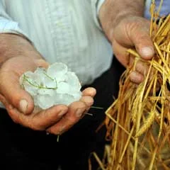 Çorum'a dolu yağdı, çiftçi perişan oldu