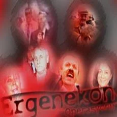 Ergenekon'da yılın şoku!