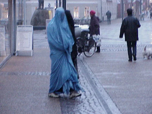 Fransa'da 'Burka' komisyonu kuruldu