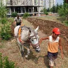 Geçimini hala kara sabanla sağlıyor