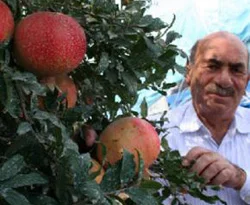 Hasattan 4 ay önce satılıyor