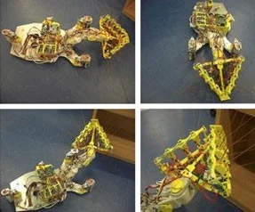 Hayat kurtaran robot fare!