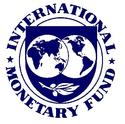 IMF: Türkiye krize karşı esneklik gösterdi"