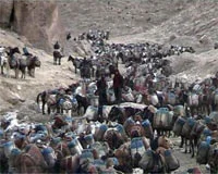 Kaçak akaryakıt filosu yakalandı...