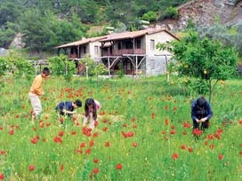 Lüks oteller "out", doğal tatil "in"