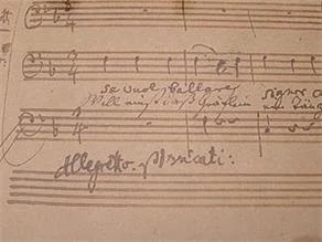 Mozart'ın bilinmeyen 2 eseri keşfedildi