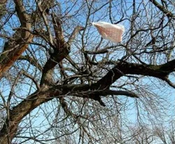Plastik, doğa ile dostluğunu geliştiriyor