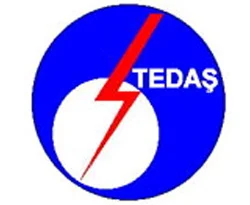 TEDAŞ uluslararası ihaleye çıkıyor