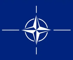 'Ukrayna ve Gürcistan üyeliğe hazır değil'