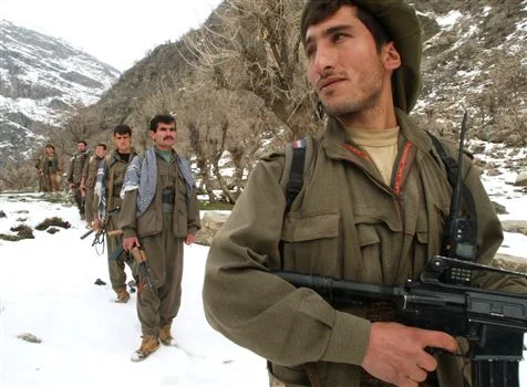 1 PKK'lı teslim oldu