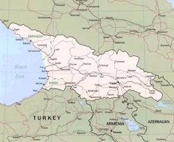 'Abhazya ve Güney Osetya tanınmalı'