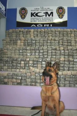 Ağrı'da 275 kilo eroin ele geçirildi