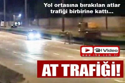 Atlar trafiği karıştırdı